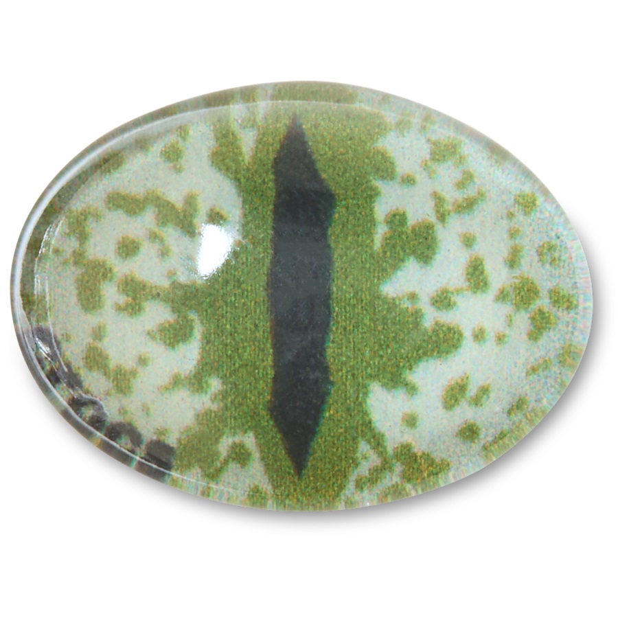 Gray Animal Eye